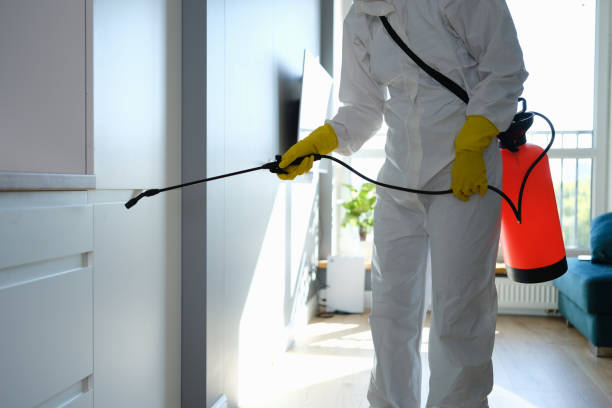 Best Residential Mold Removal  in St George, MO